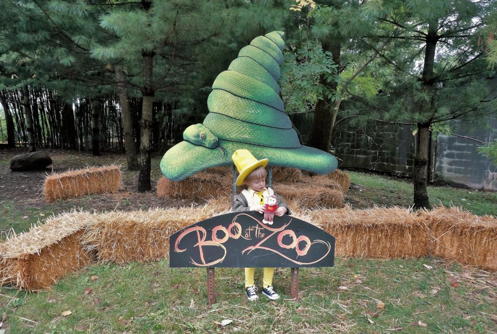 zoo boo little rock