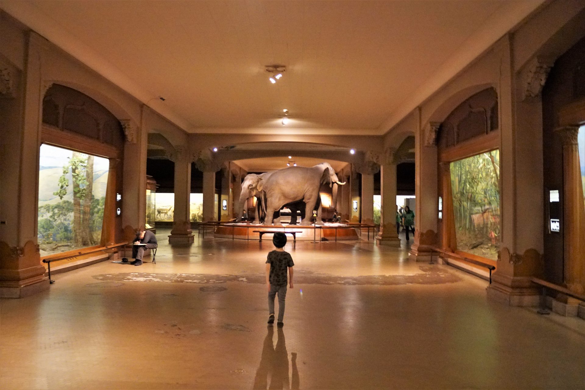 A Night At The Museum Sleepover Experience Little Kid Big CIty a-night-at-the-museum-sleepover-experience-little-kid-big-city