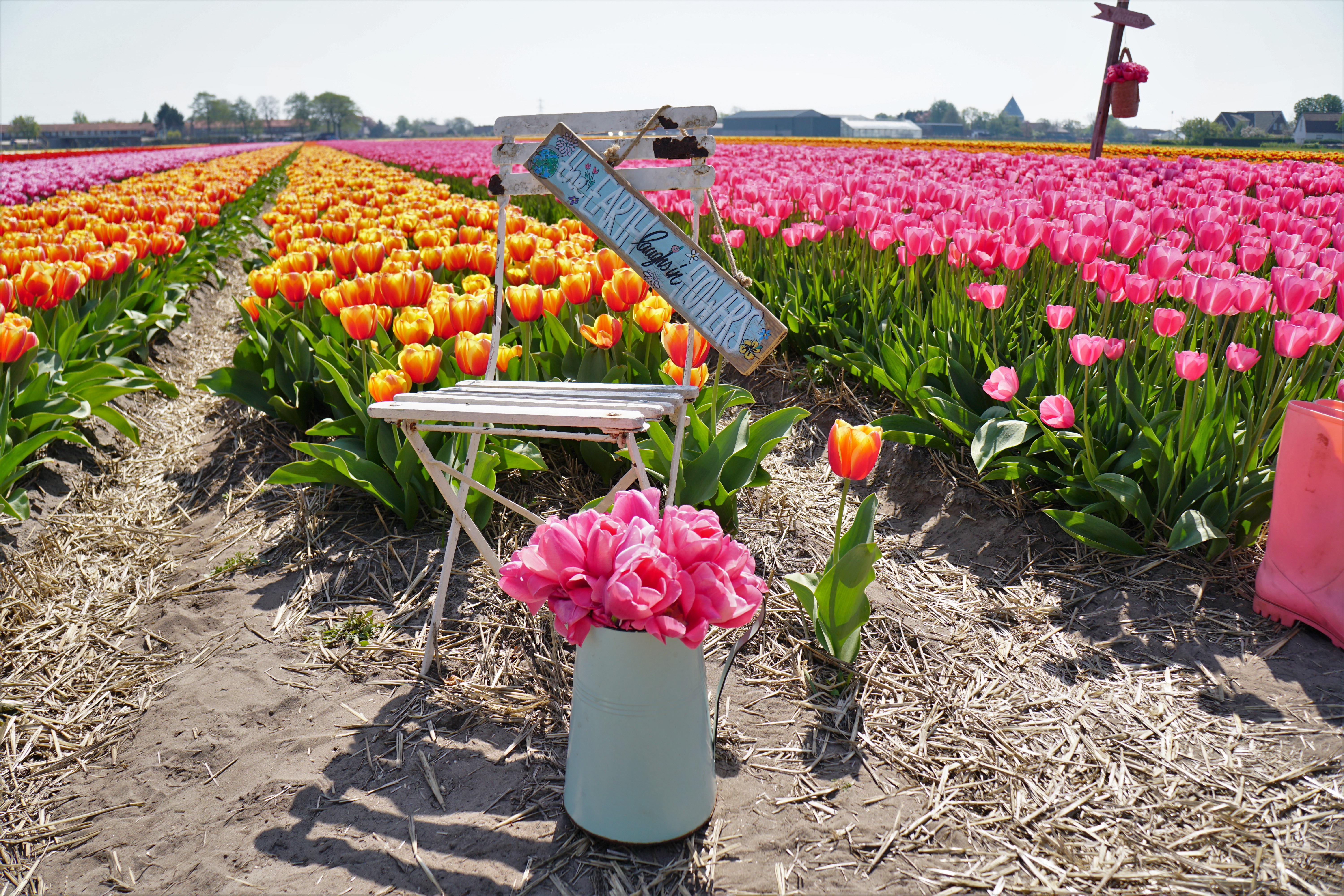 Tip Toeing Through Tulips Fam Flower Farm Little Kid Big City