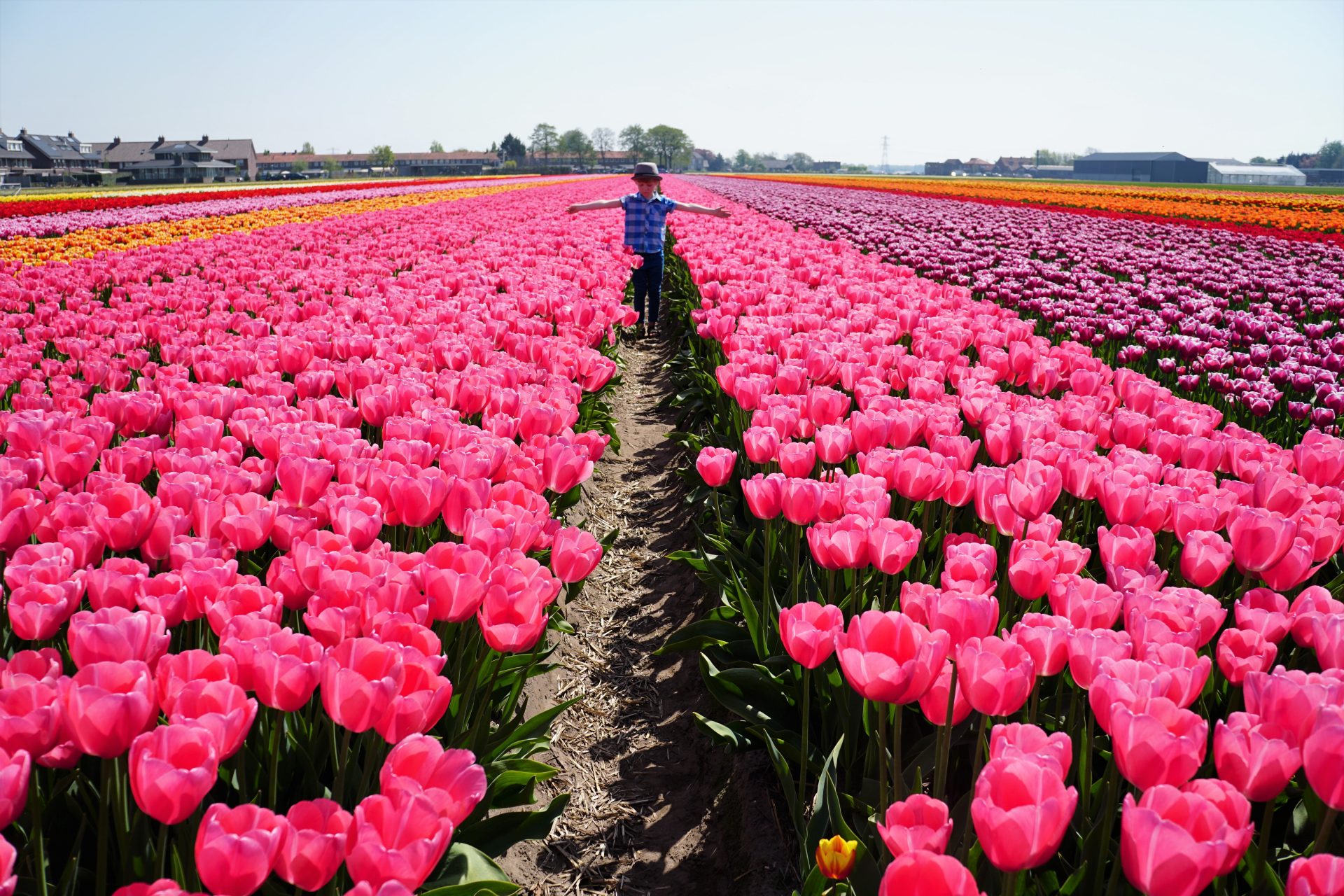 Tip Toeing Through Tulips Fam Flower Farm Little Kid Big City