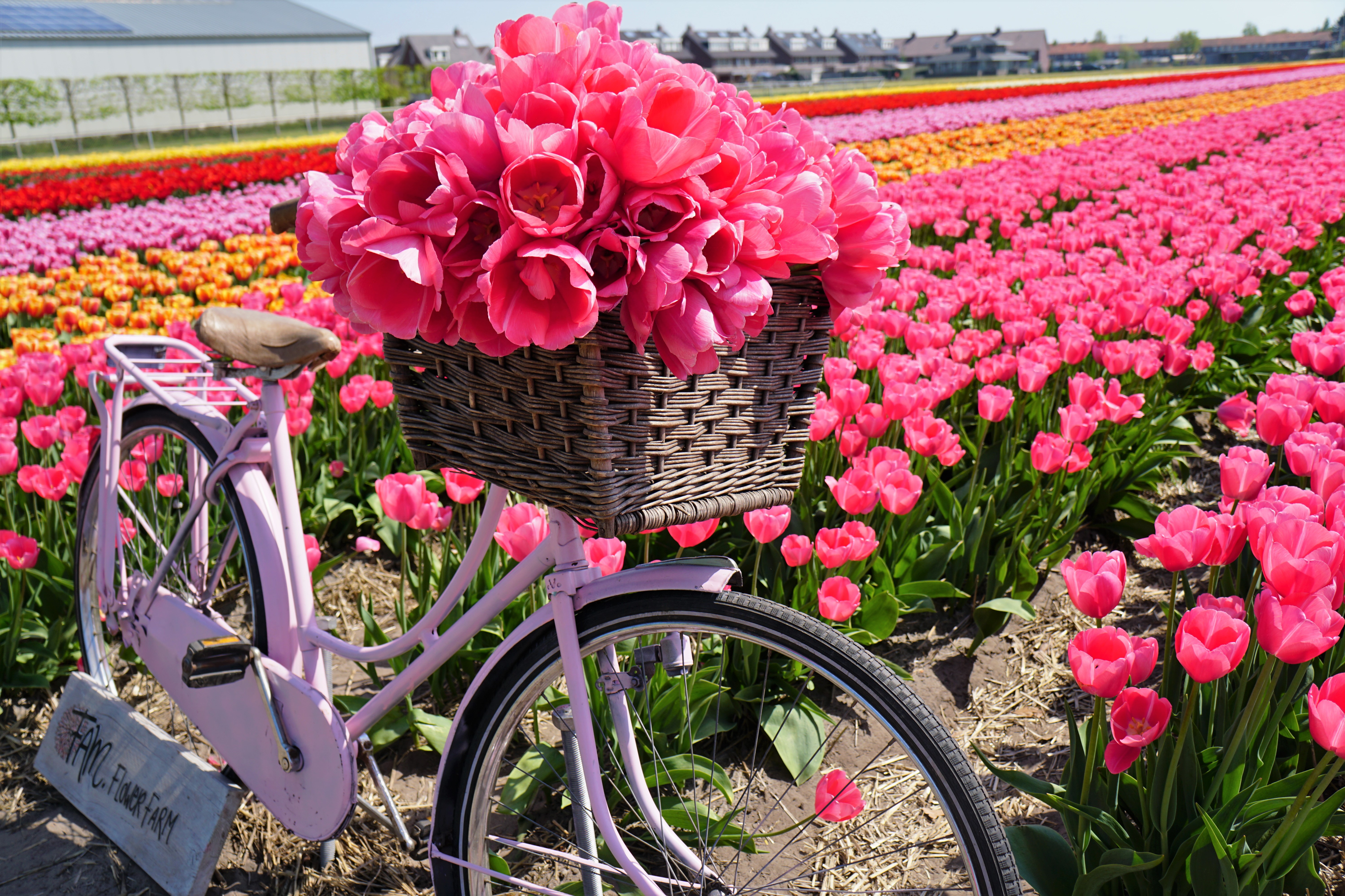 Floret Flower Farm