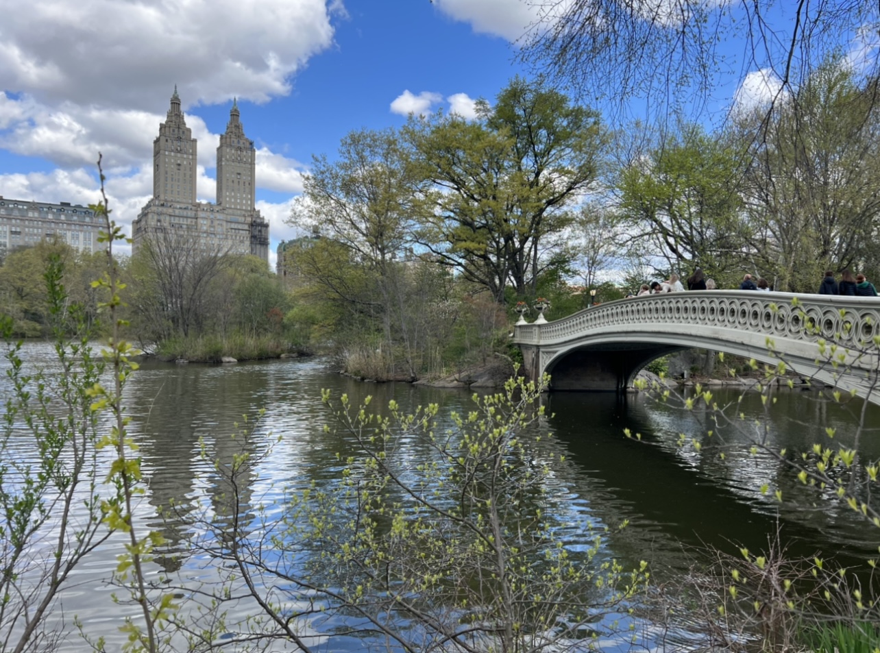 Market Street Kicks Off Summer with Family Fun in Central Park