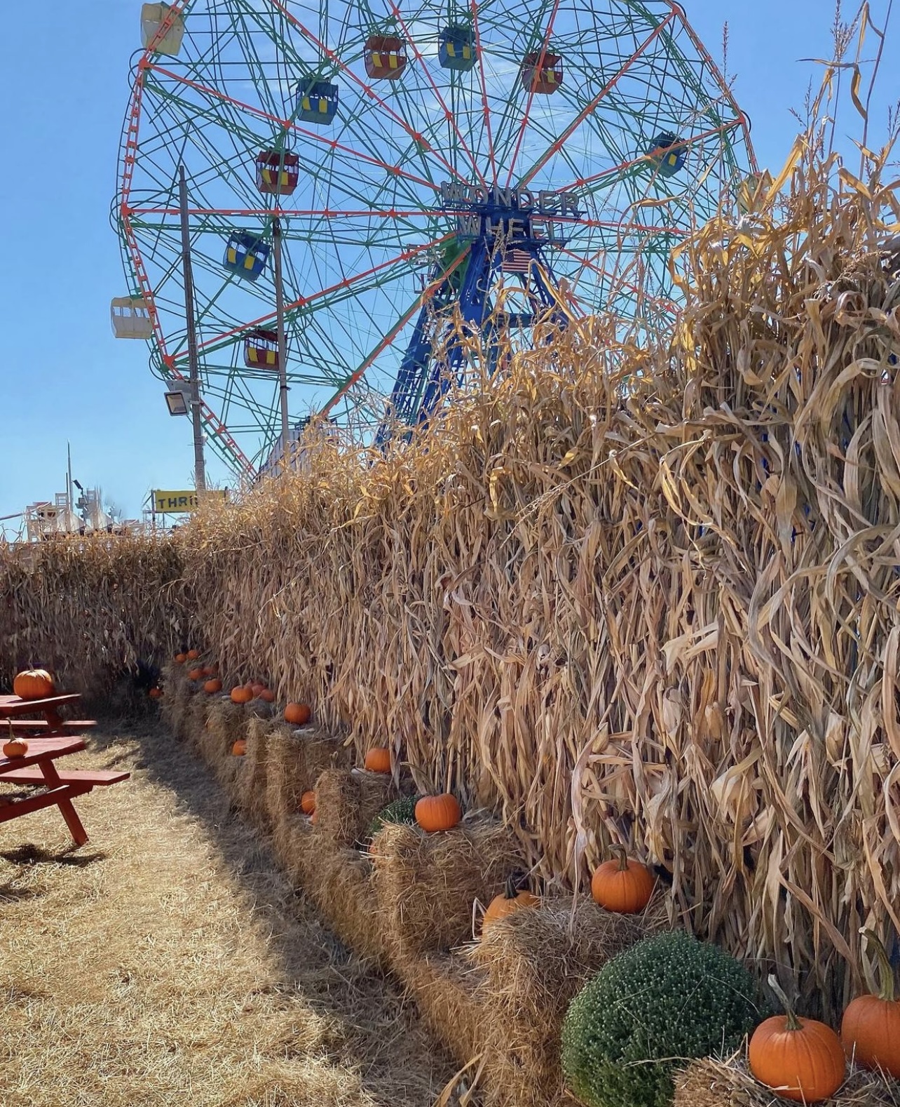 Halloween NYC With Kids