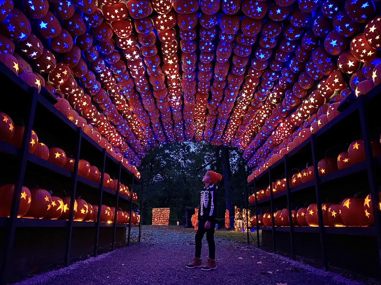 Must See Fall Activity - The Great Jack O'Lantern Blaze
